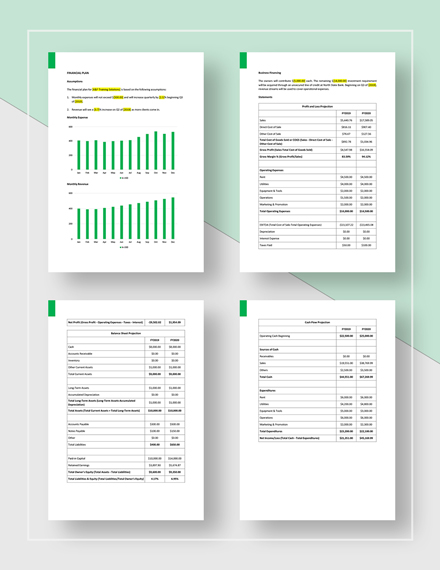 Free coaching business plan template picture