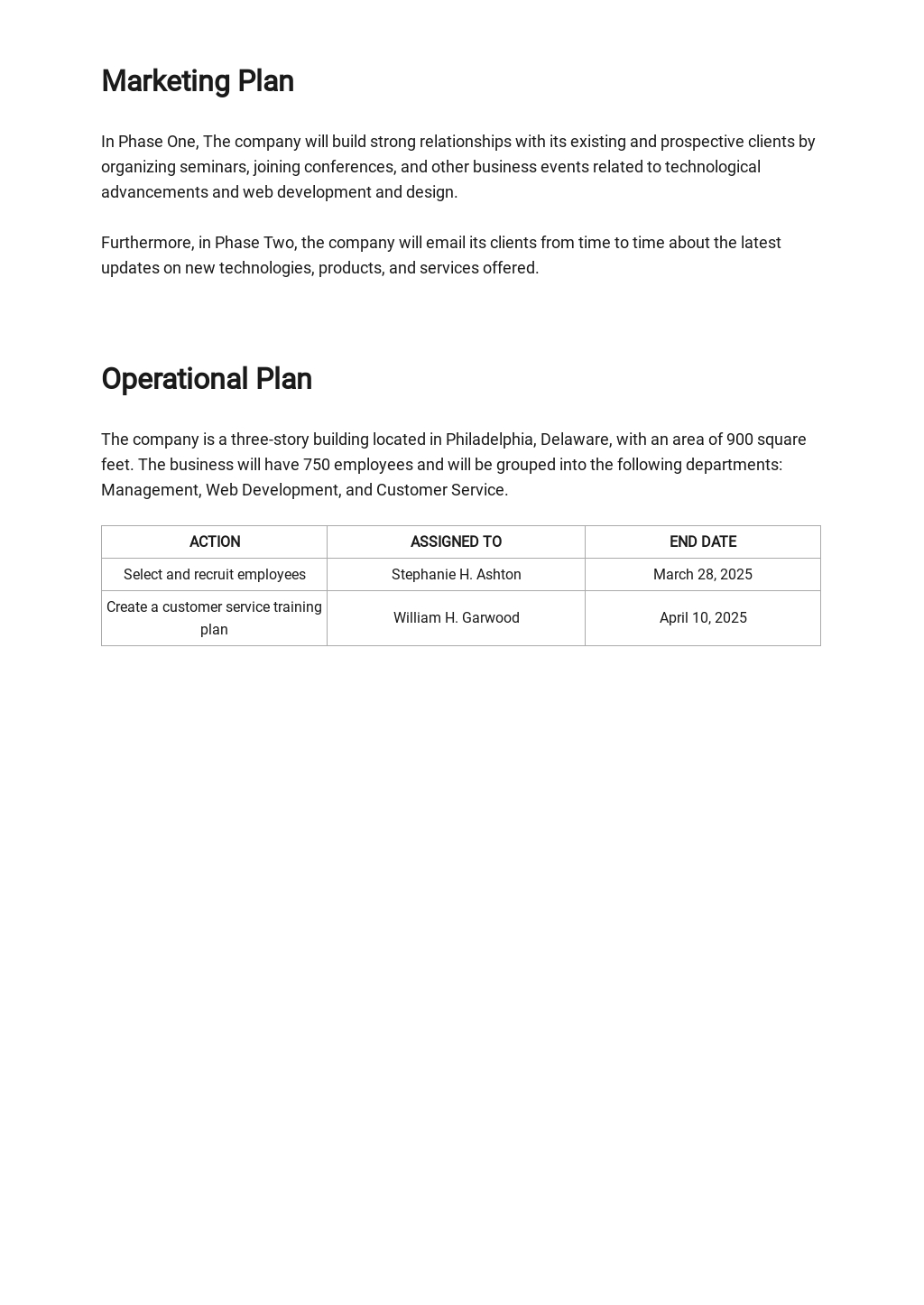 Web Design Development Business Plan Template Free PDF Google