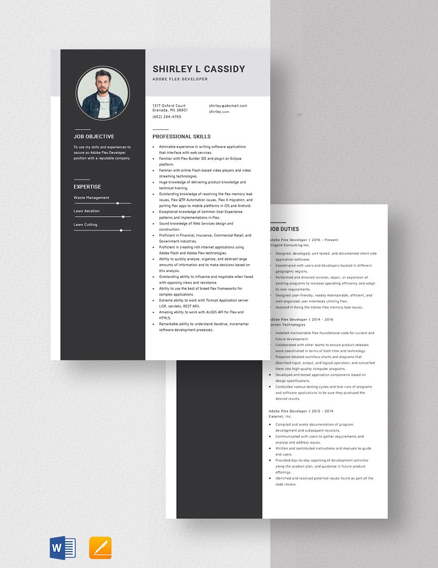 Adobe Flex Developer Resume
