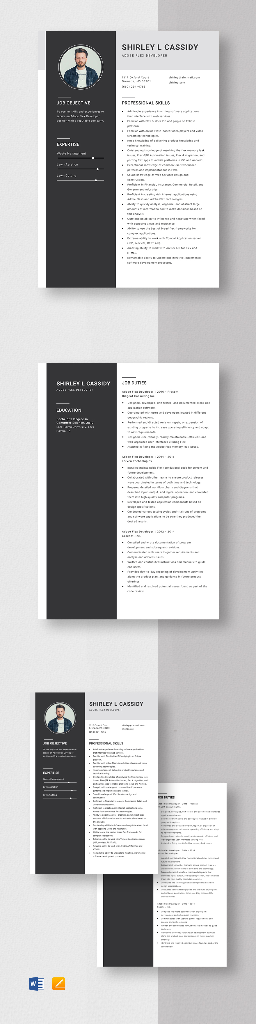 Web Developer Resume Template - Word, Apple Pages, PSD | Template.net