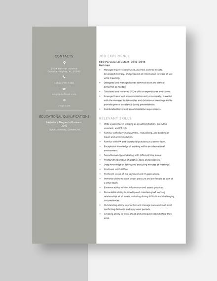 CEO Personal Assistant Resume Template - Word, Apple Pages | Template.net