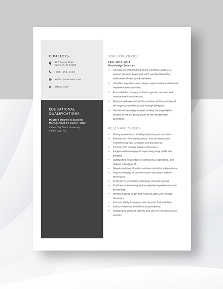 CEO Resume Template Word Apple Pages Template