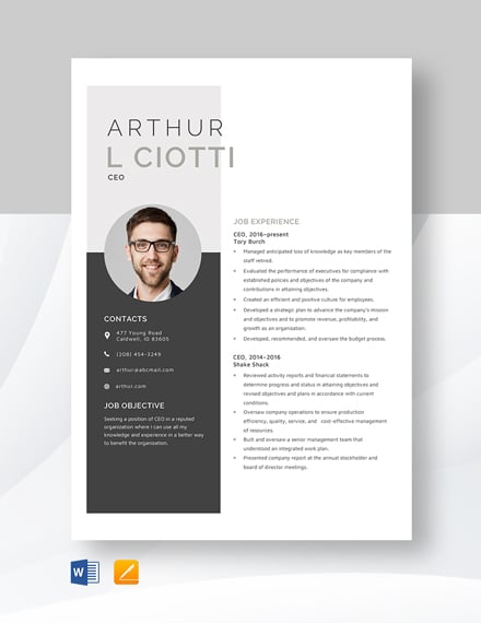 CEO Resume Template - Word, Apple Pages