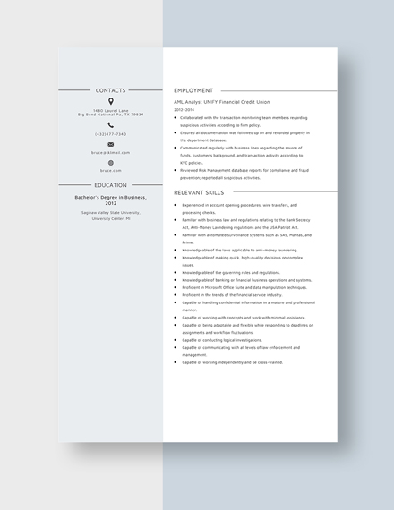 Aml Analyst Resume Template Word Doc Apple Mac Pages