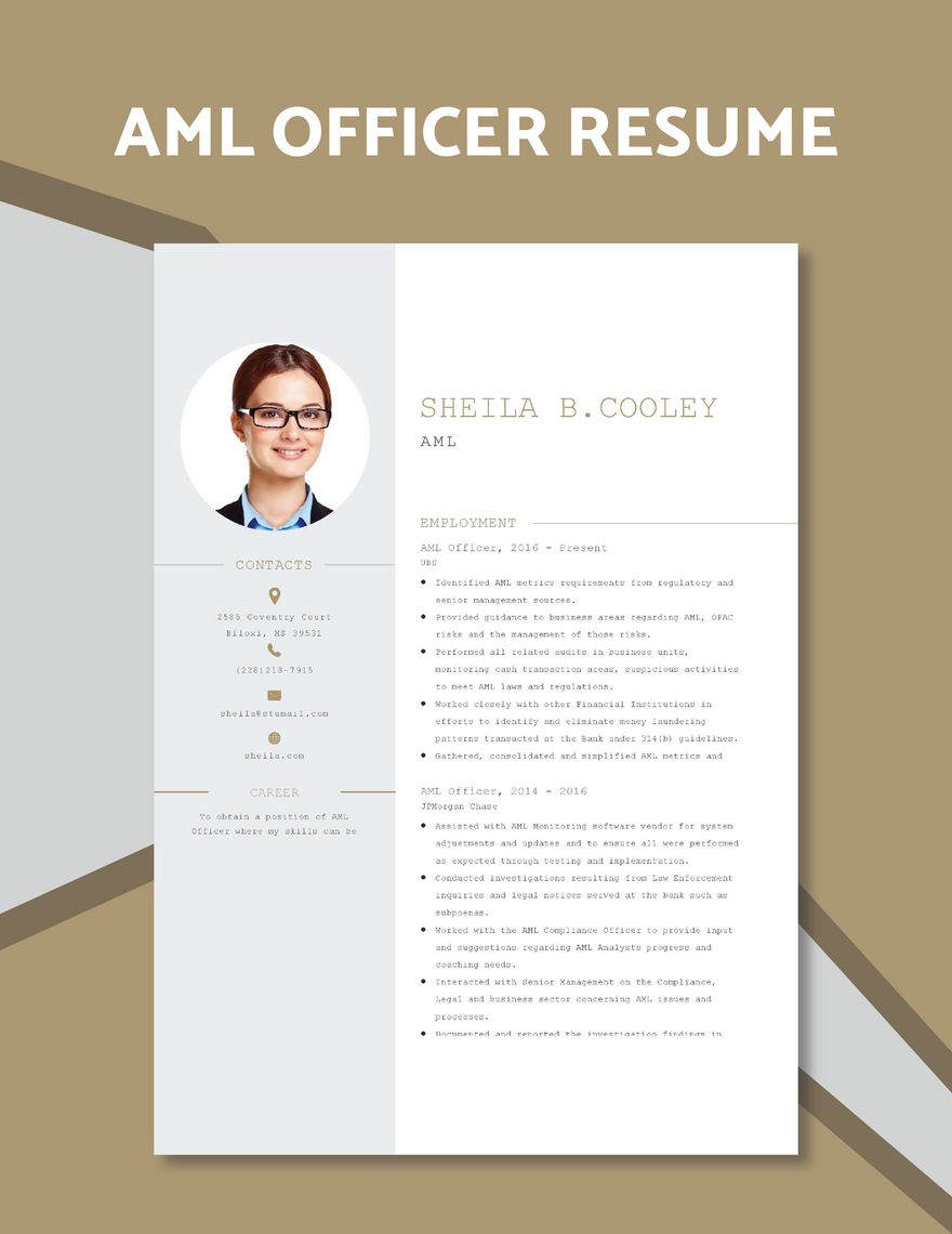 AML Officer Resume in Word, Apple Pages