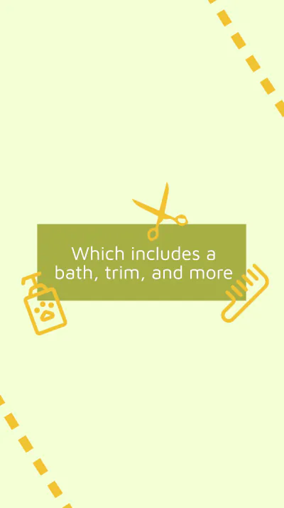 Free Pet Grooming Service Instagram Story Template to Edit Online