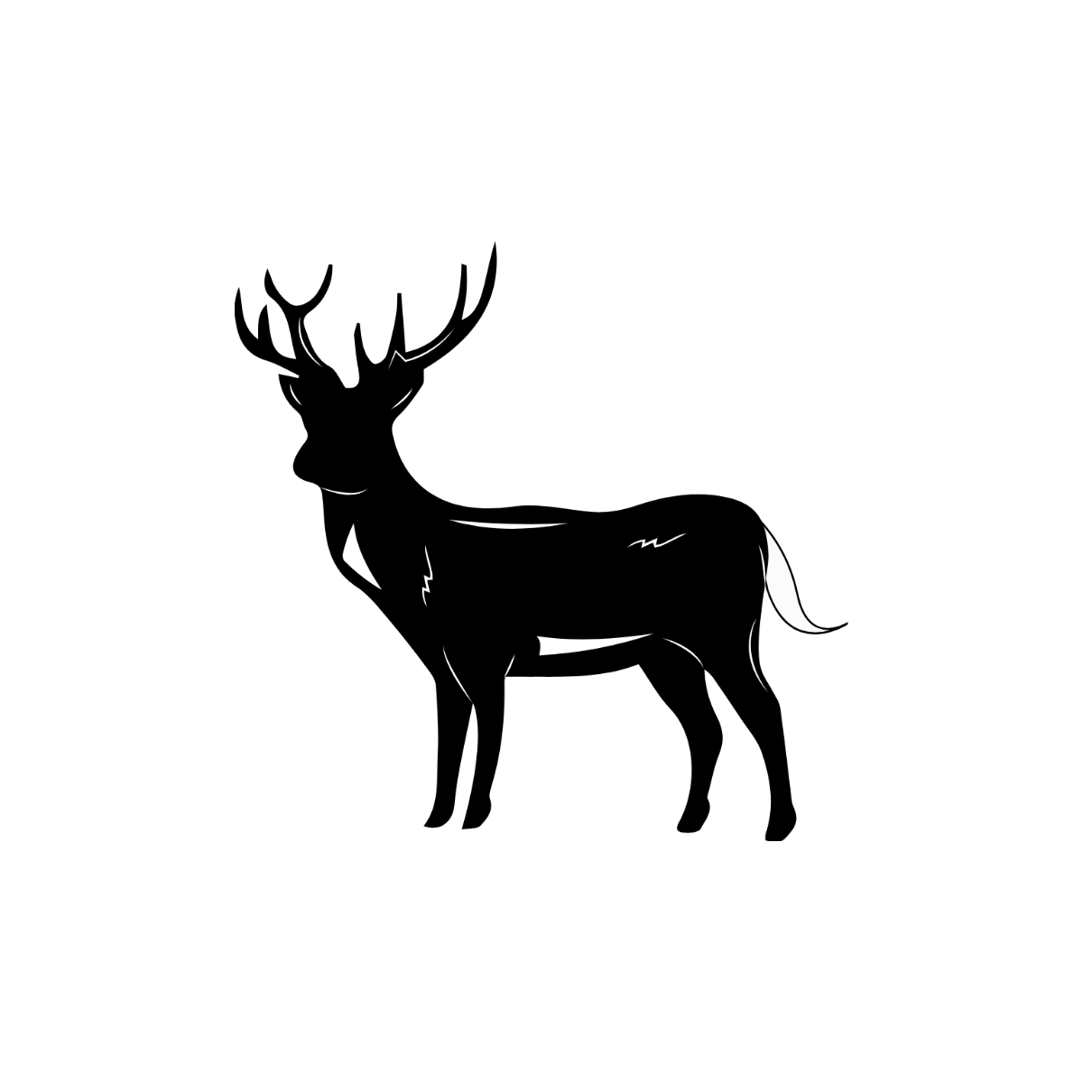 Whitetail Deer Vector Template