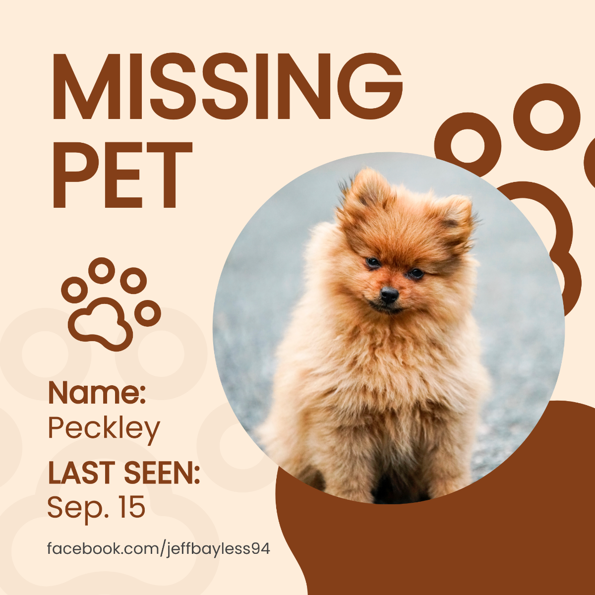Pet Missing Instagram Post Template