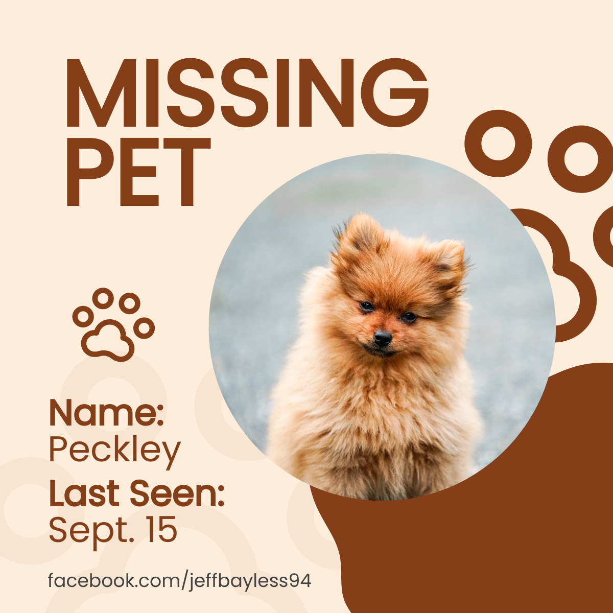 Pet Missing Linkedin Post Template