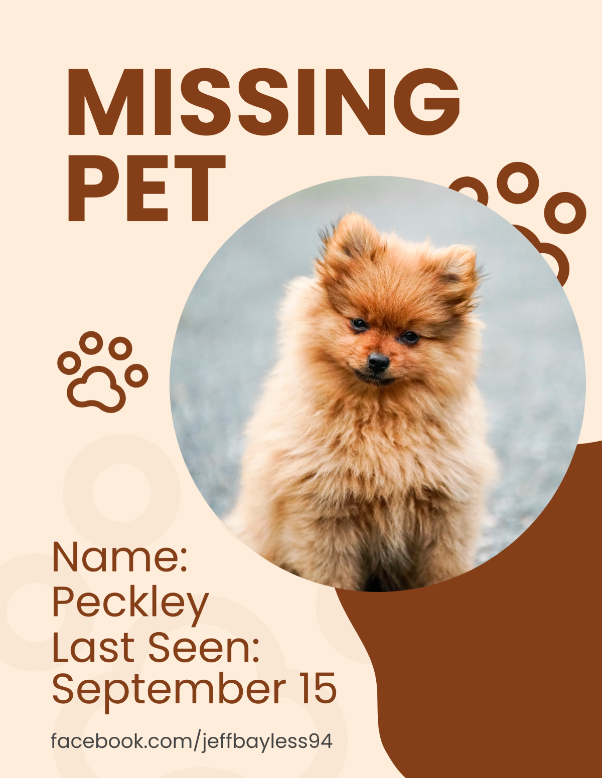 Pet Missing Flyer Template - Edit Online & Download