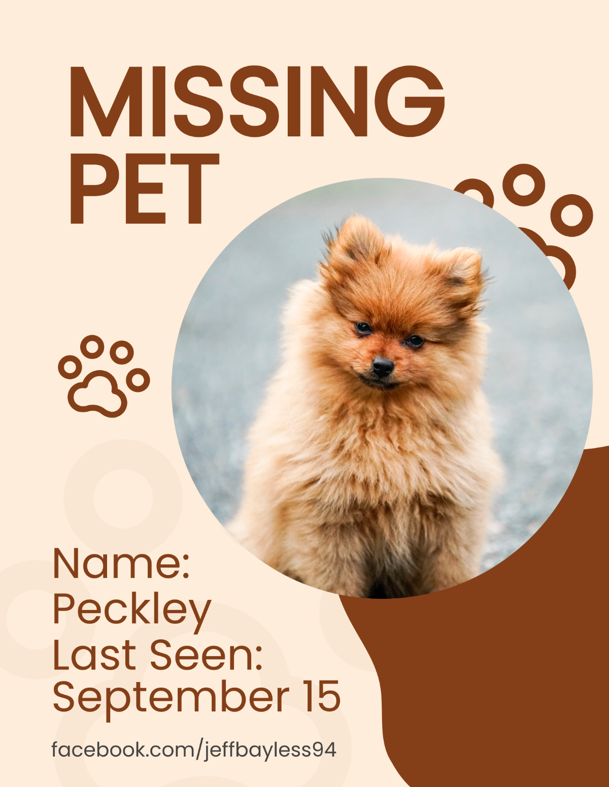 Free Pet Missing Flyer Template