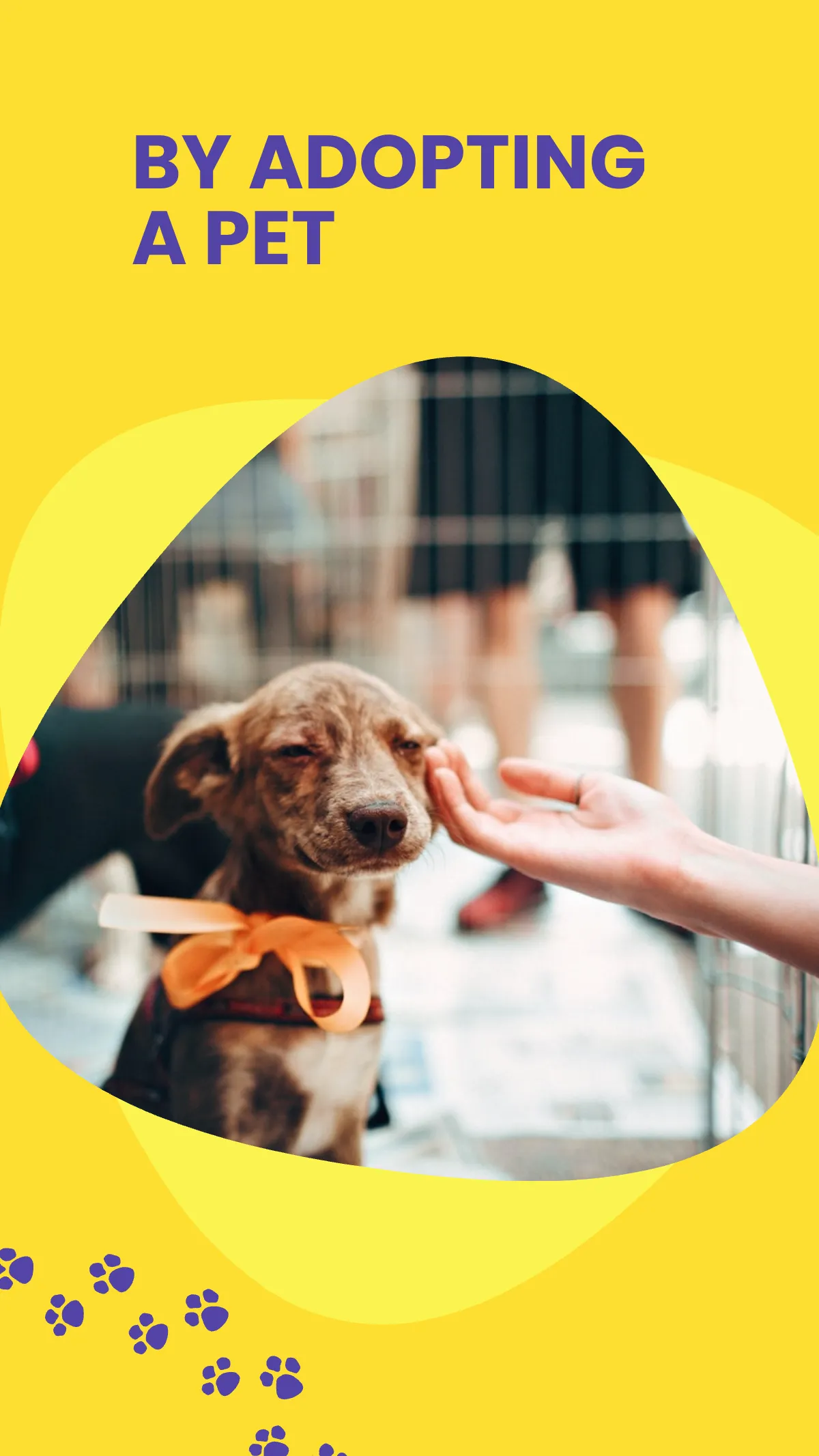 Free Adopt A Pet Instagram Story Template to Edit Online