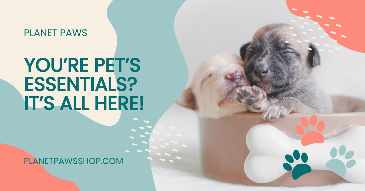 Free Pet Shop Facebook Post Template
