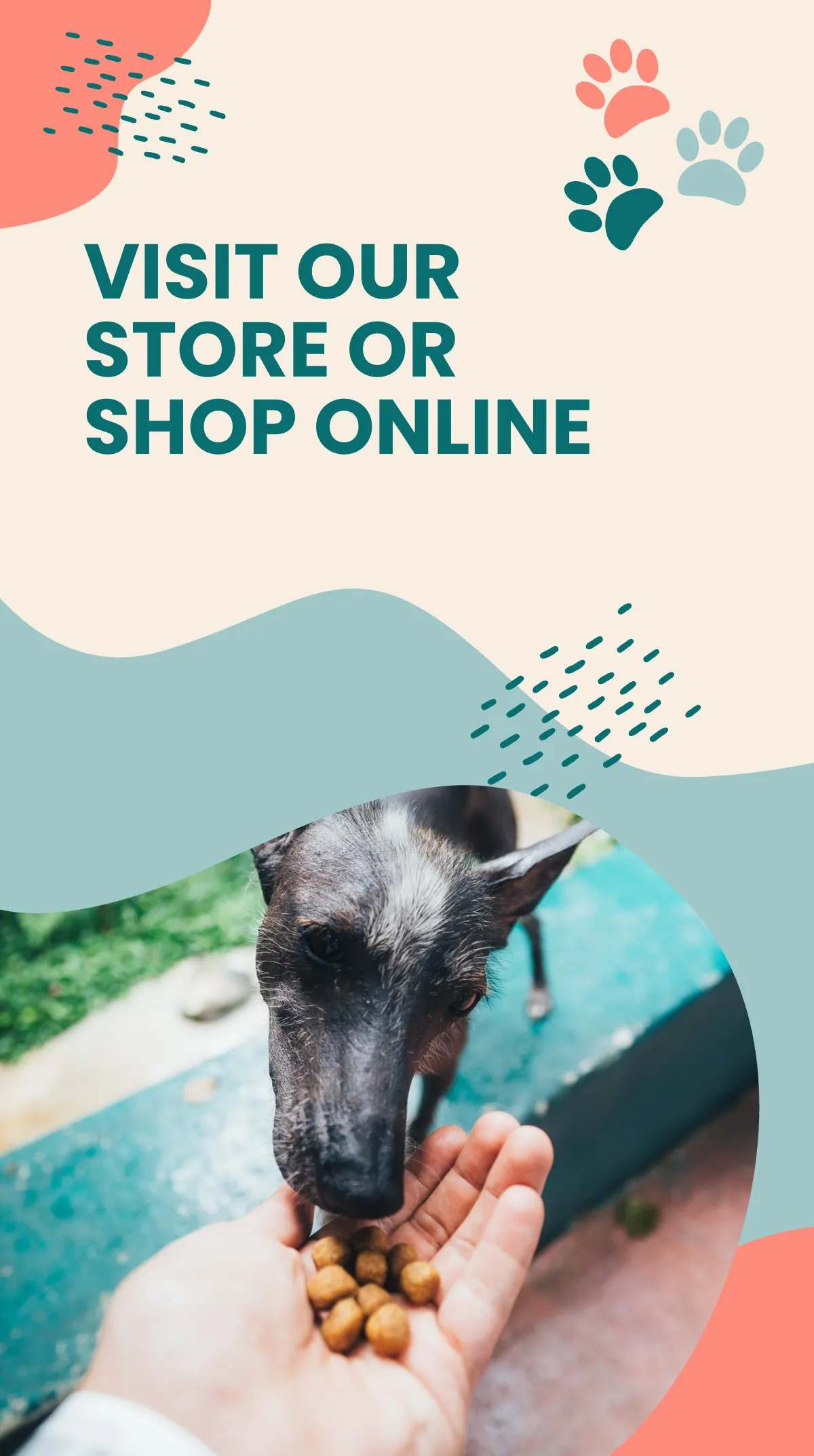 Free Pet Shop Instagram Story Template to Edit Online
