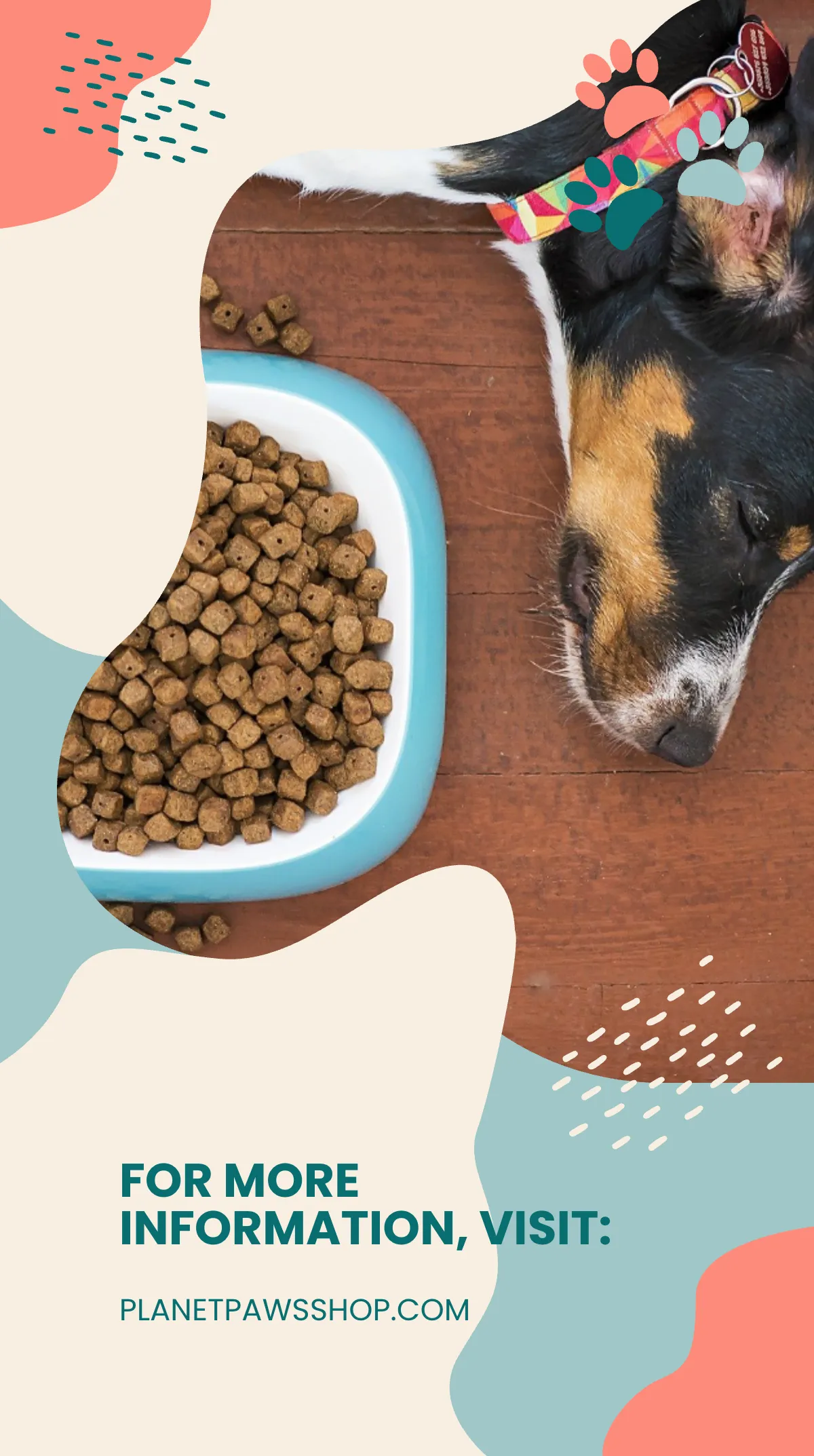 Free Pet Shop Instagram Story Template to Edit Online