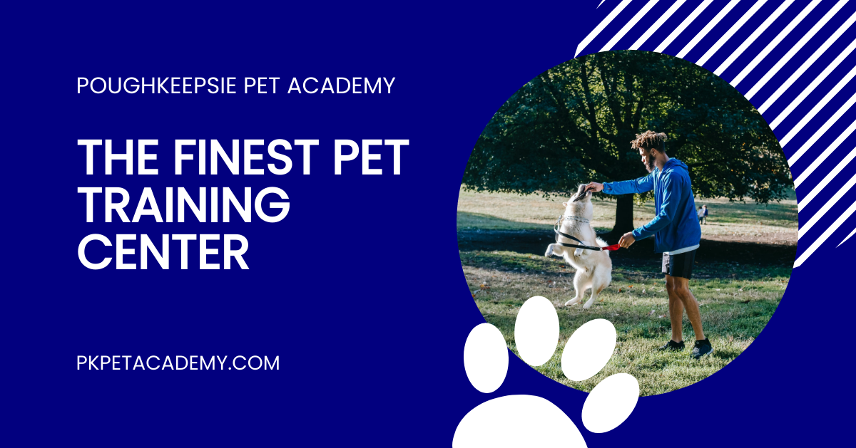 Pet Training Facebook Post Template