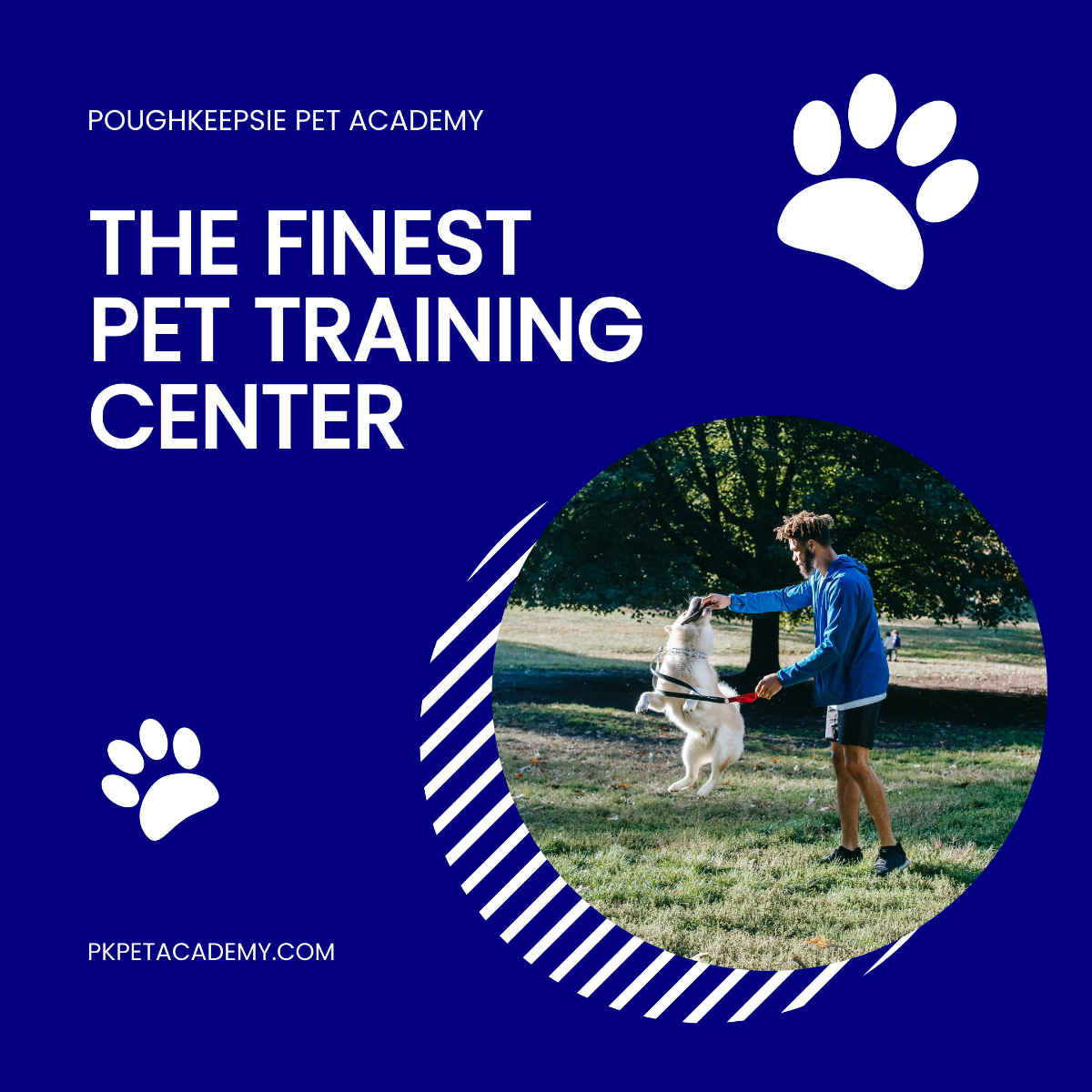 Pet Training Instagram Post Template
