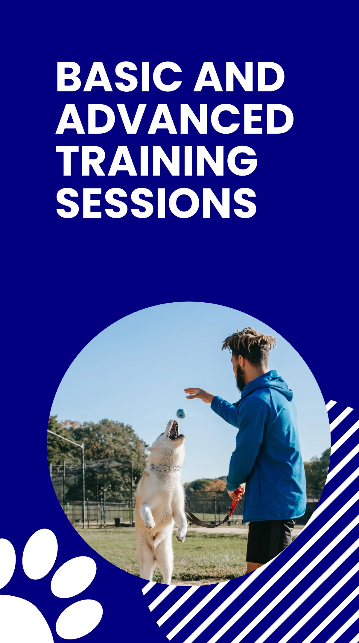 Free Pet Training Instagram Story Template to Edit Online