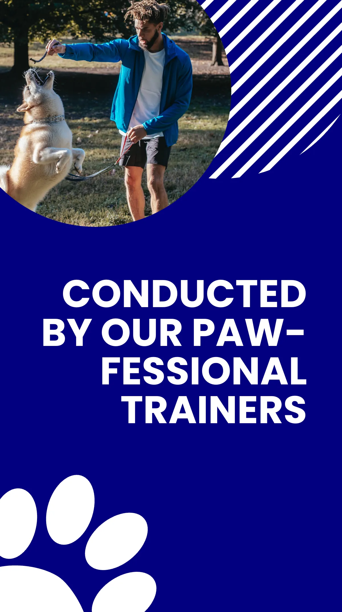 Free Pet Training Instagram Story Template to Edit Online