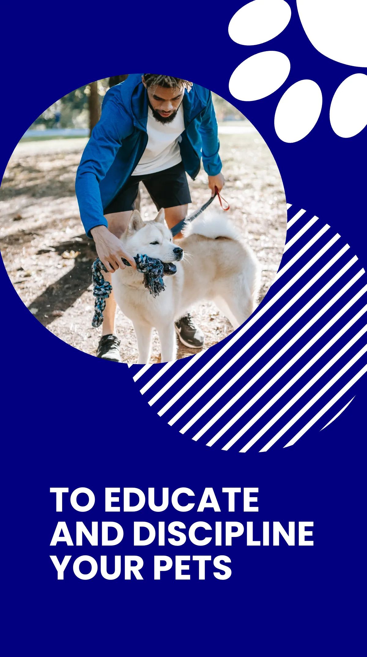 Free Pet Training Instagram Story Template to Edit Online