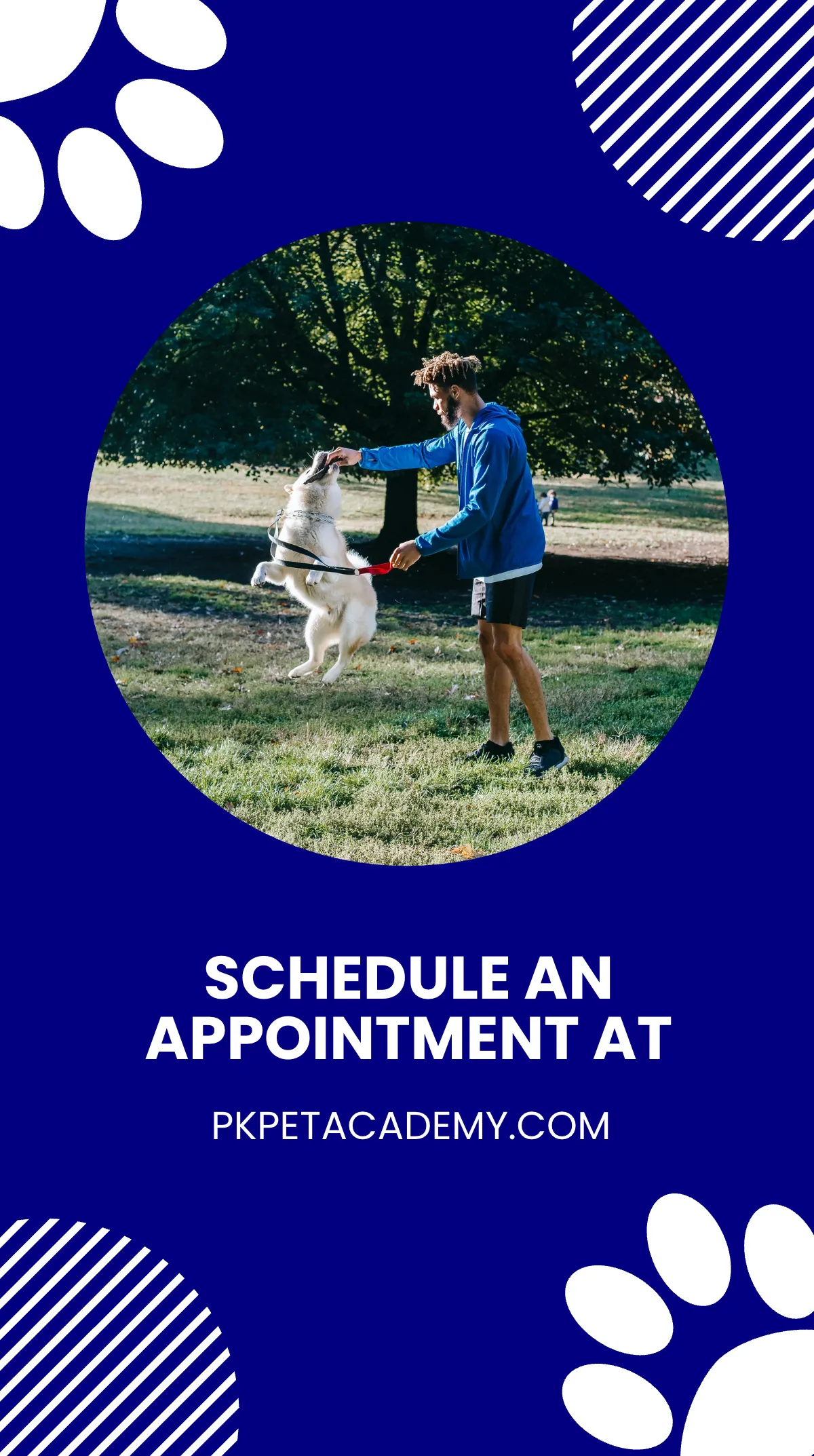 Free Pet Training Instagram Story Template to Edit Online