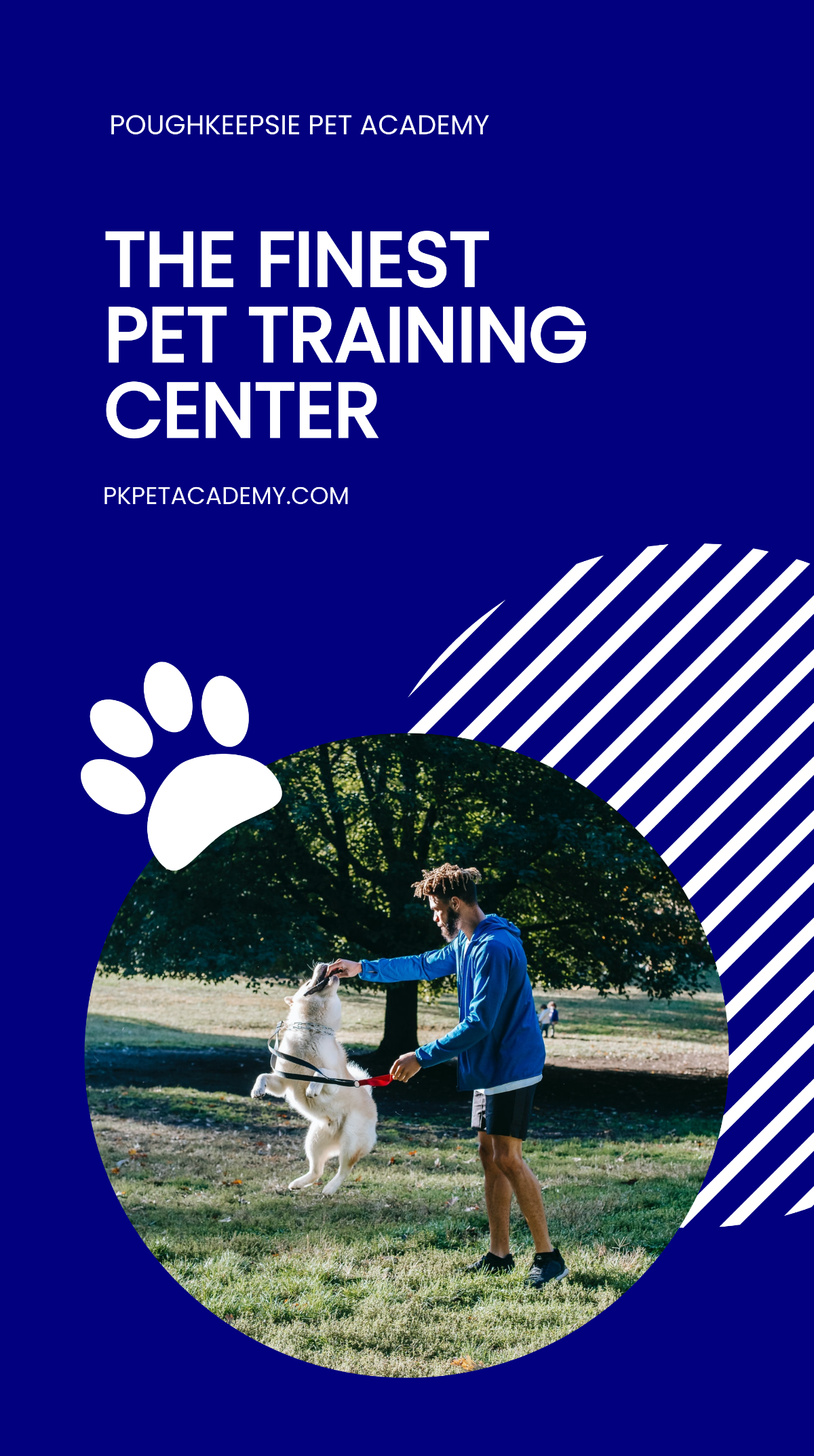 Pet Training Instagram Story Template