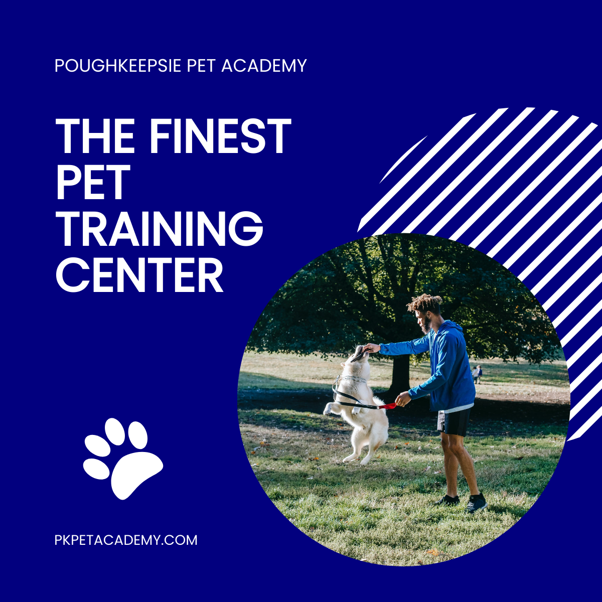Pet Training Linkedin Post Template
