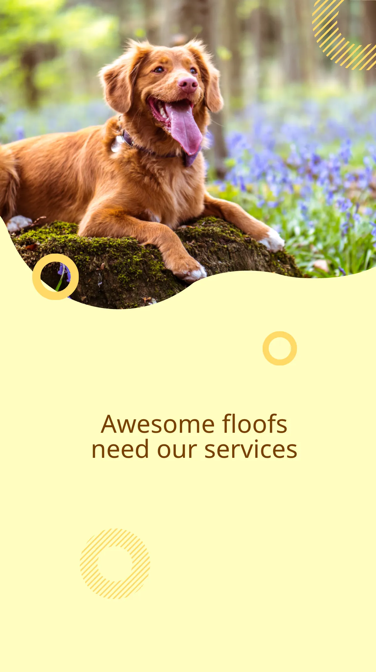 Free Dog Walker Instagram Story Template to Edit Online