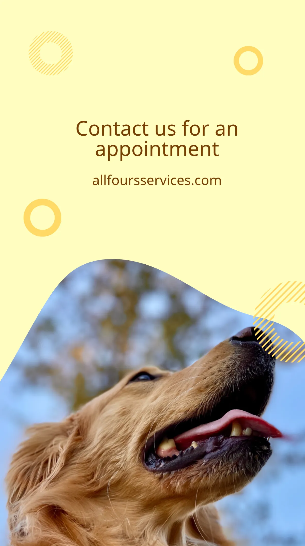 Free Dog Walker Instagram Story Template to Edit Online