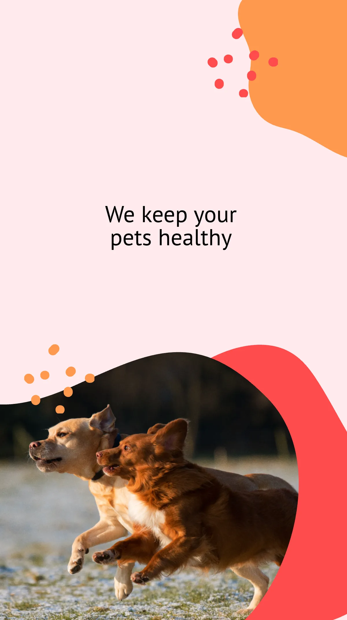 Free Pet Health Care Instagram Story Template to Edit Online