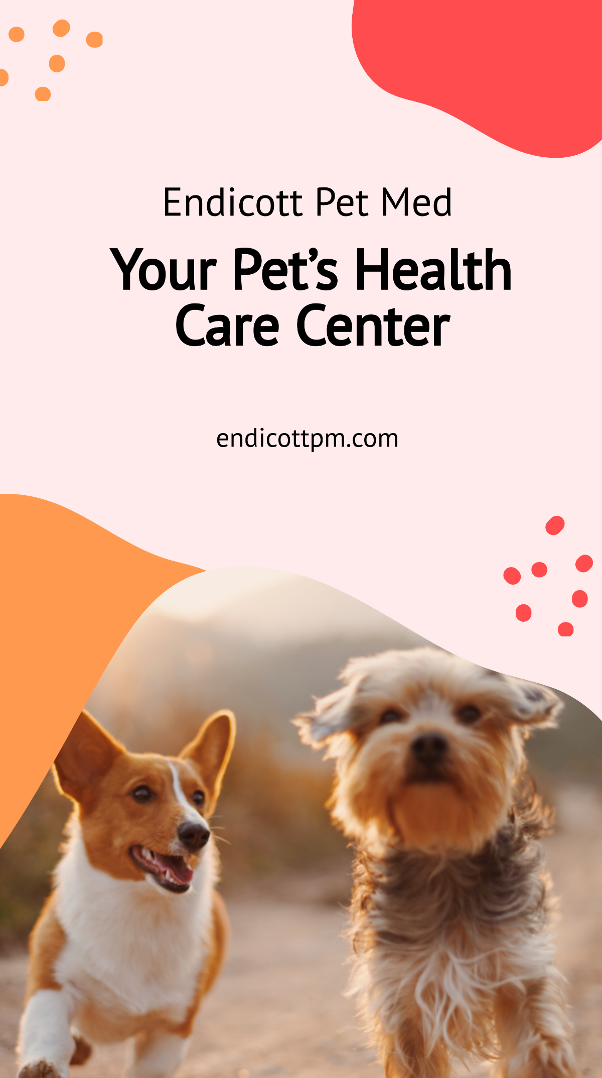 Free Pet Health Care Instagram Story Template