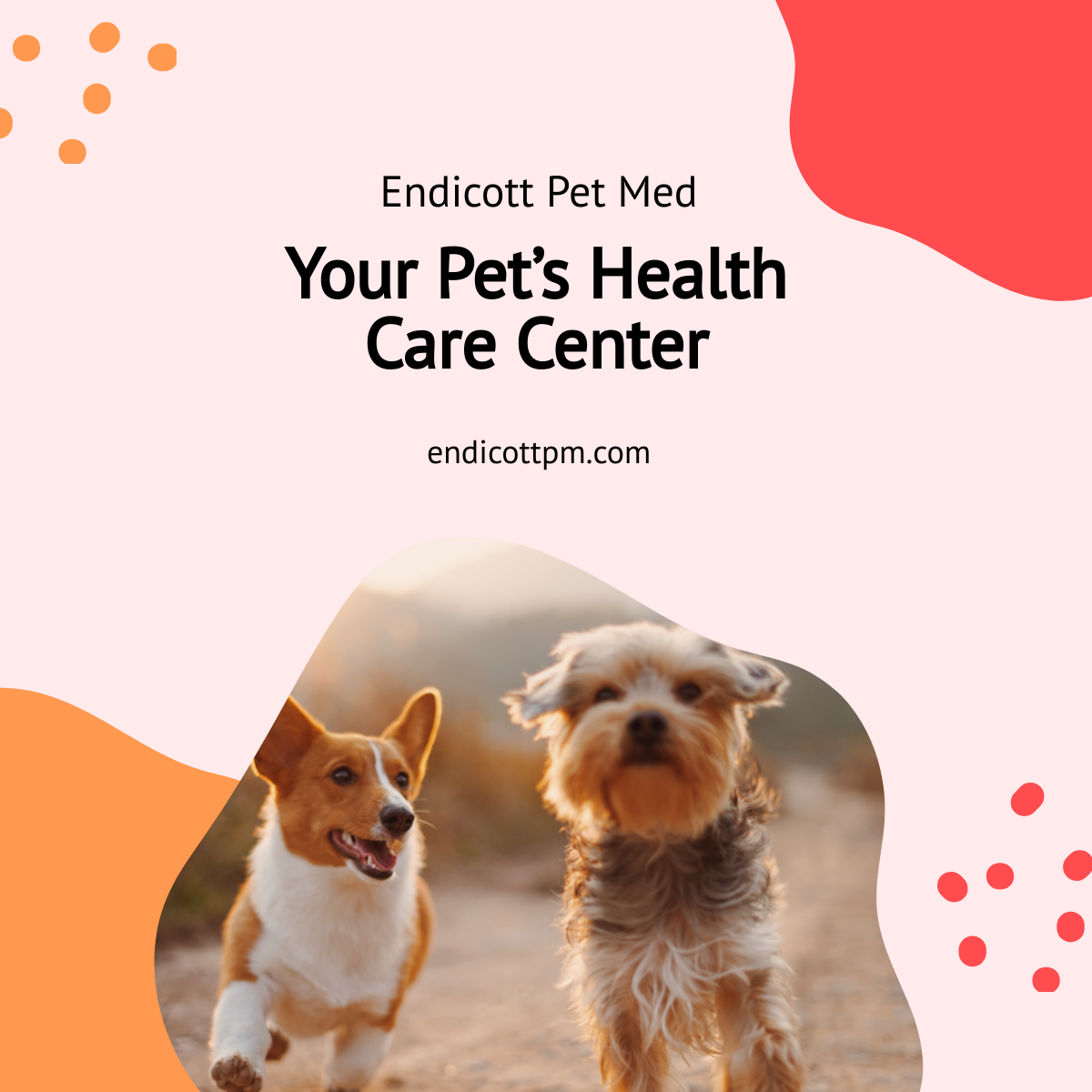 Pet Health Care Linkedin Post Template