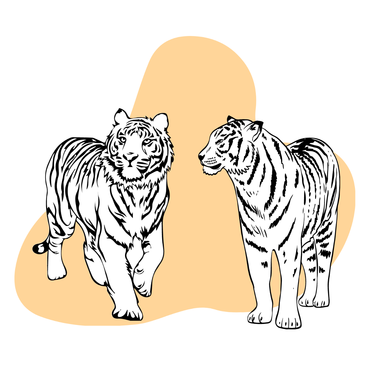 Black and White Tiger Vector Template