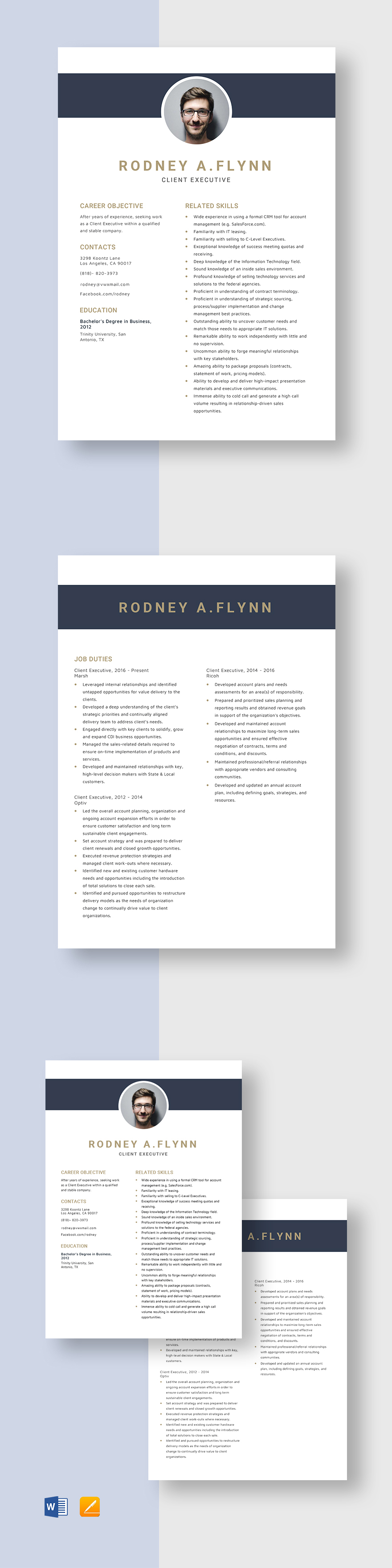 Admission Executive Resume Template - Client Executive Resume Template 1