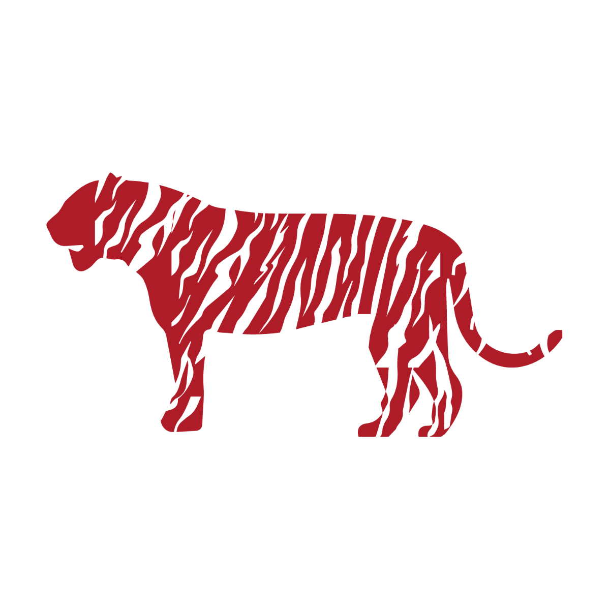 Abstract Tiger Vector Template