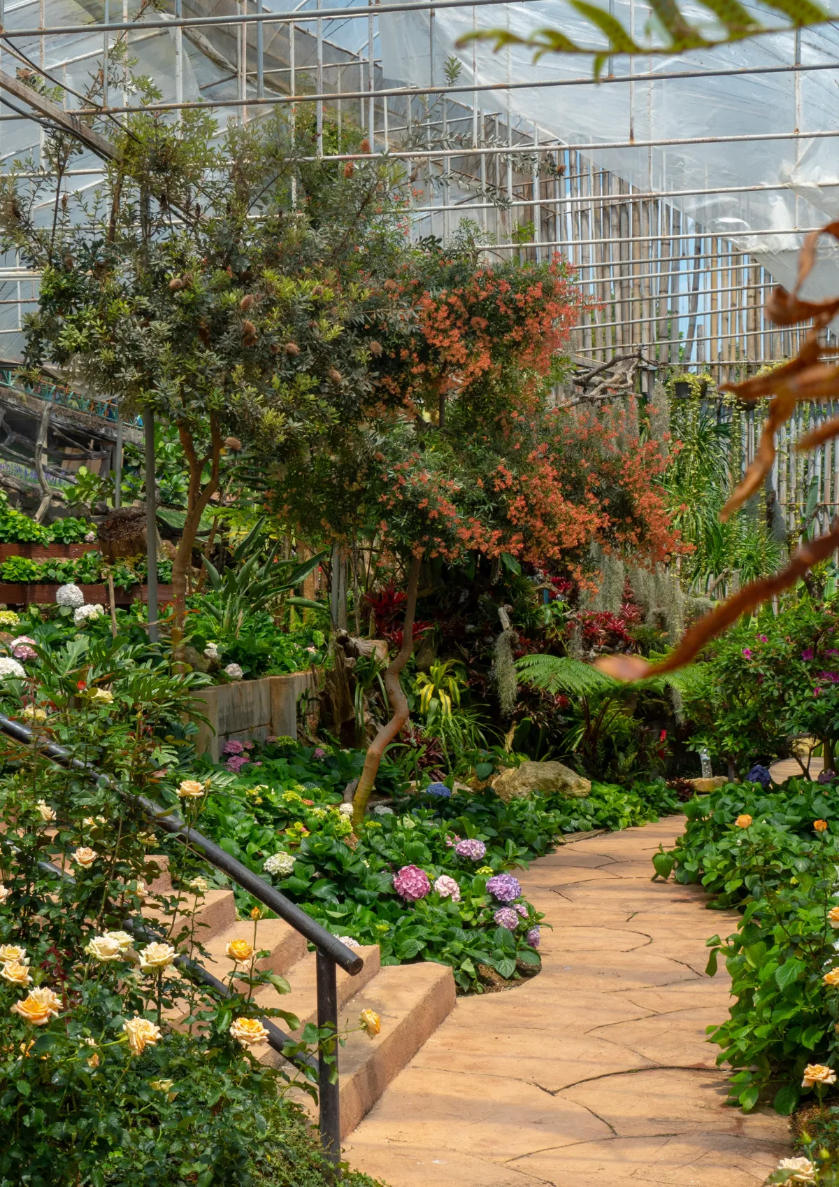 Free Landscaping Magnet Template to Edit Online