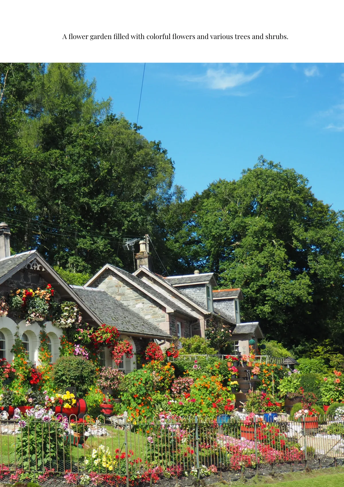 Free Landscaping Magnet Template to Edit Online