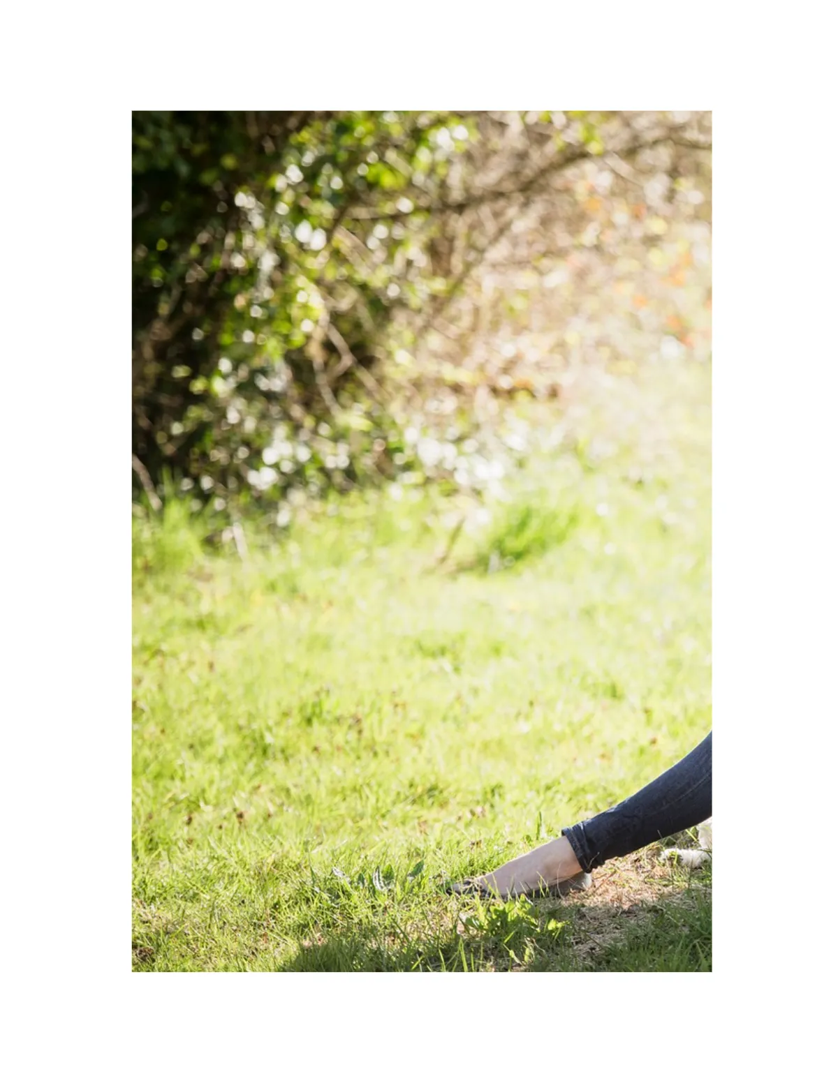 Free Children's Photo Book Template to Edit Online