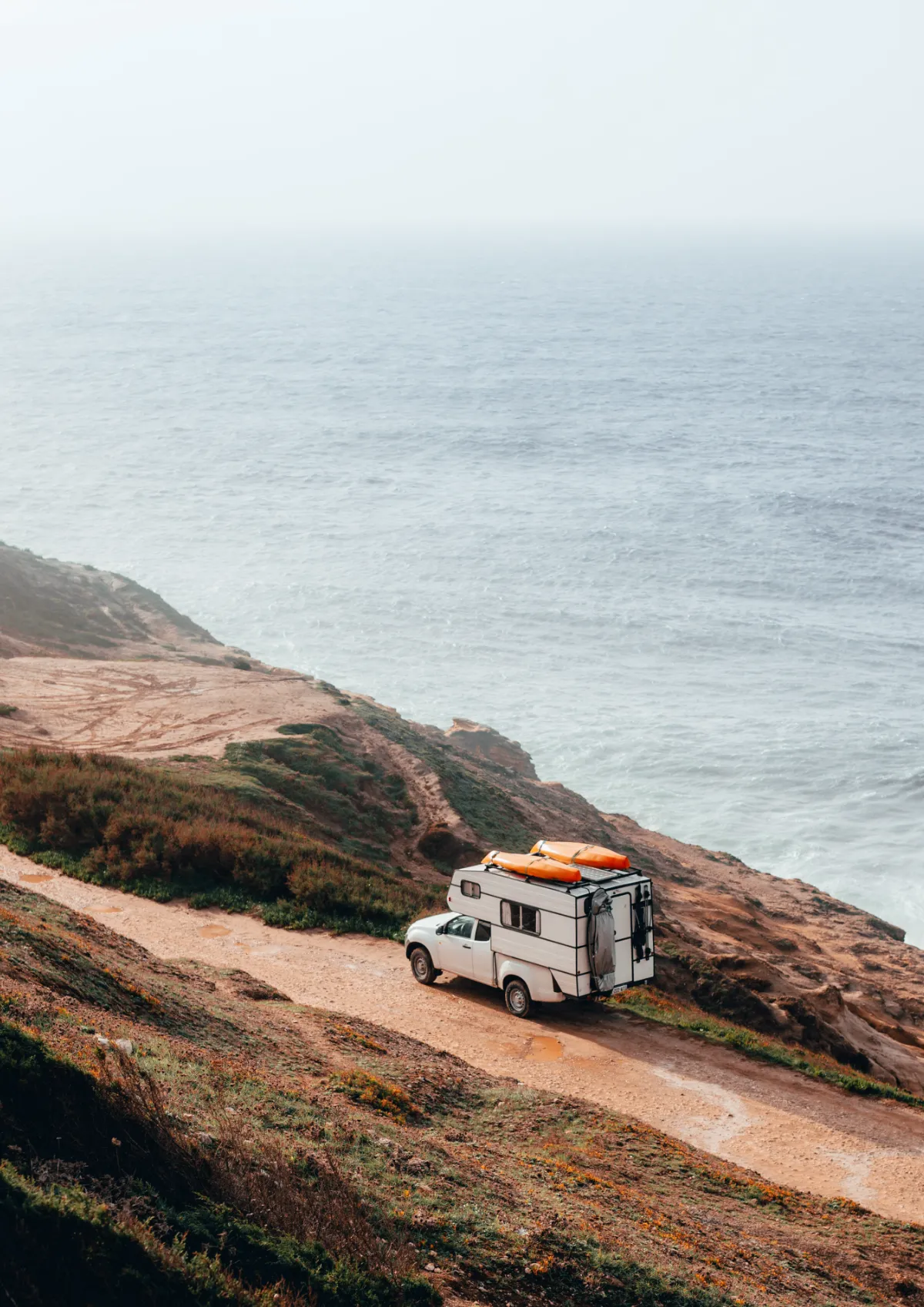 Free Car Magnet Template to Edit Online