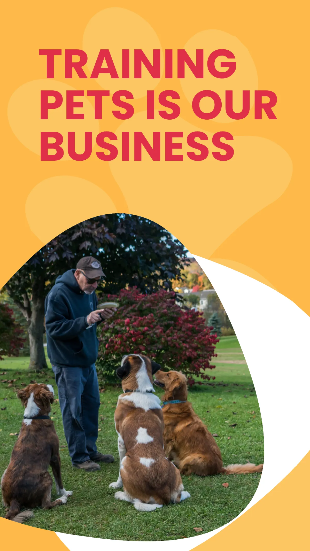 Free Pet Training Ad Instagram Story Template to Edit Online