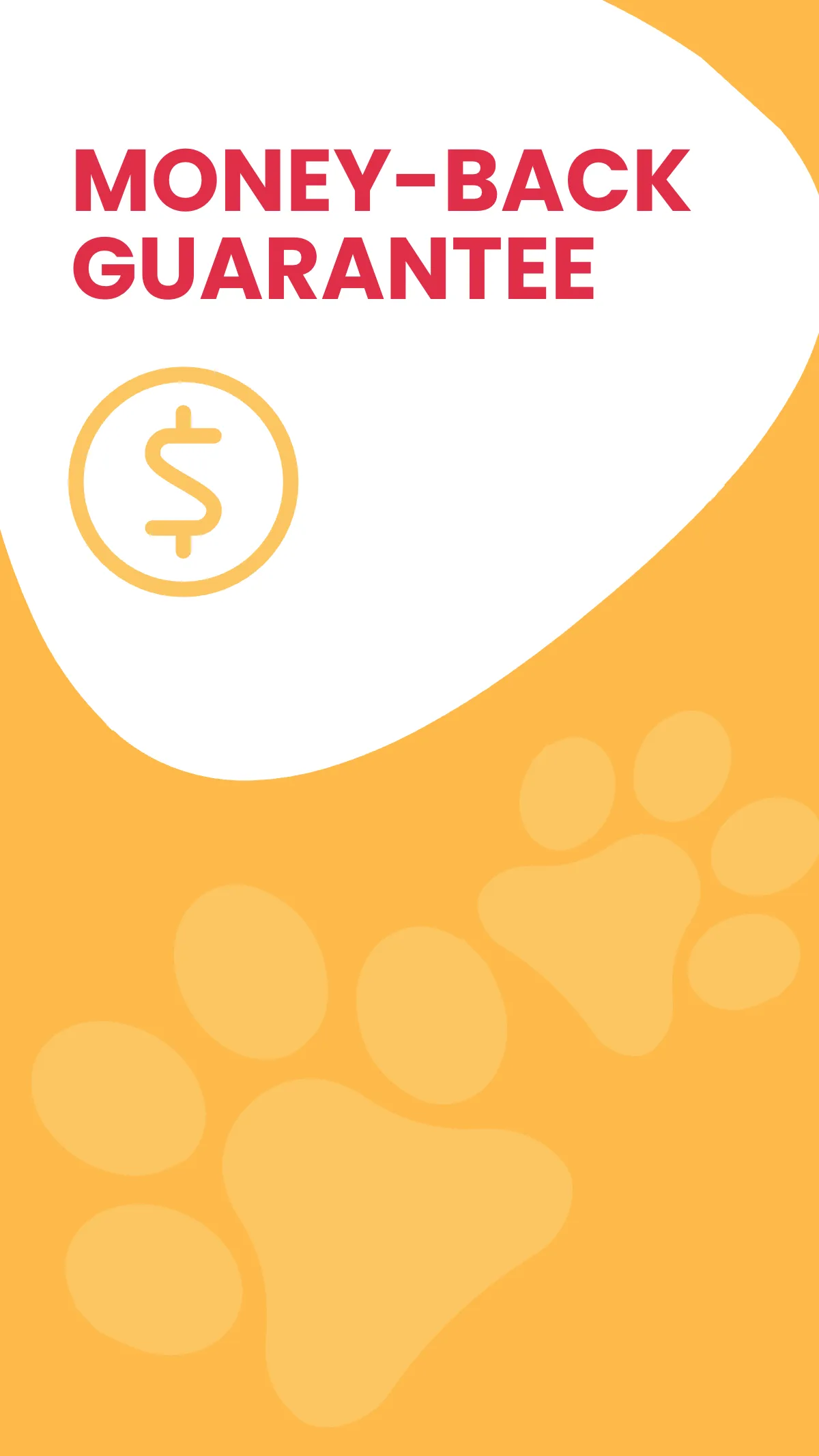 Free Pet Training Ad Instagram Story Template to Edit Online