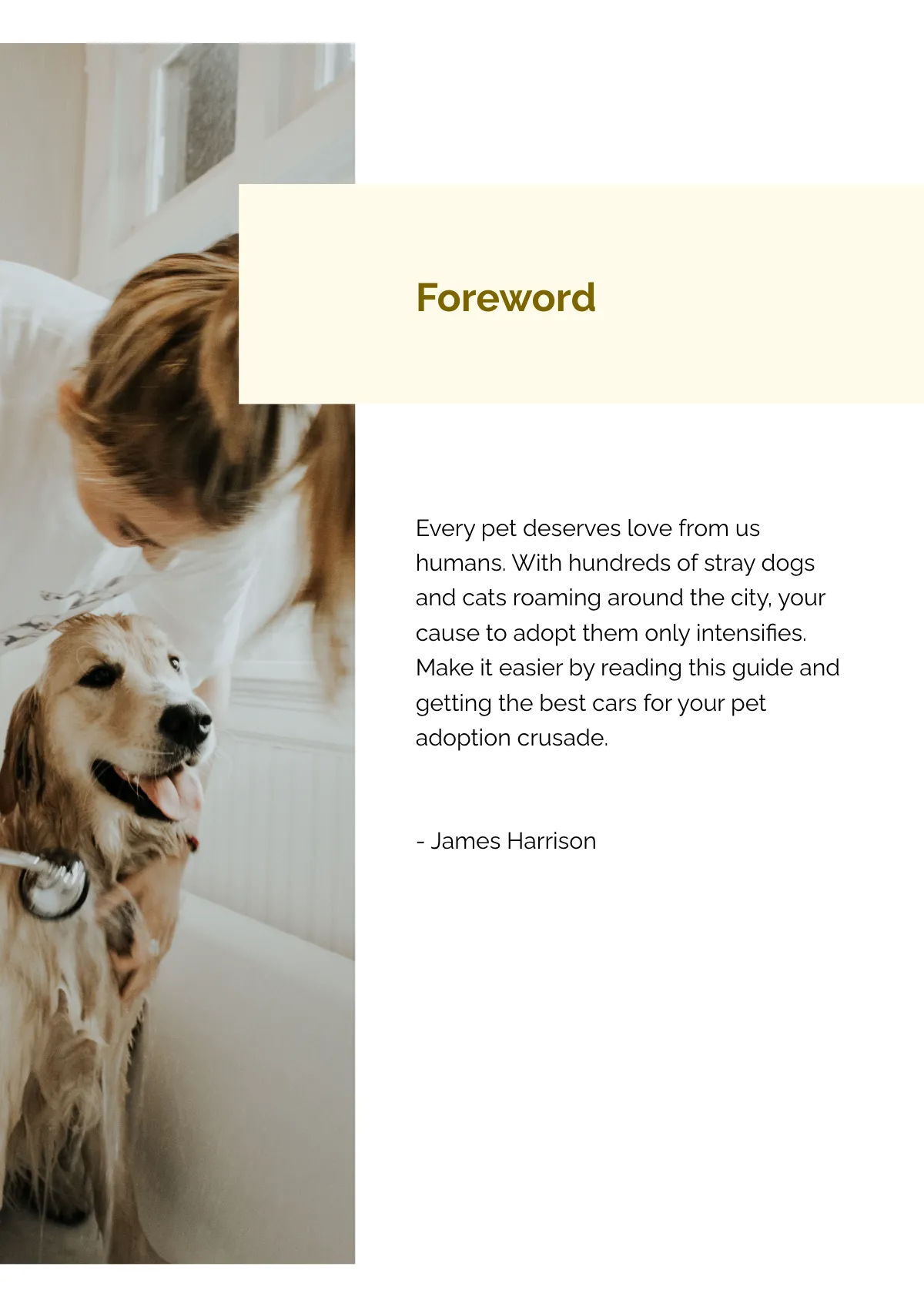 Free Adopt Pets Car Magnet Template to Edit Online