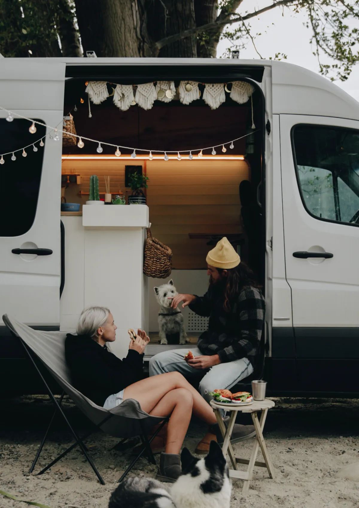 Free Adopt Pets Car Magnet Template to Edit Online