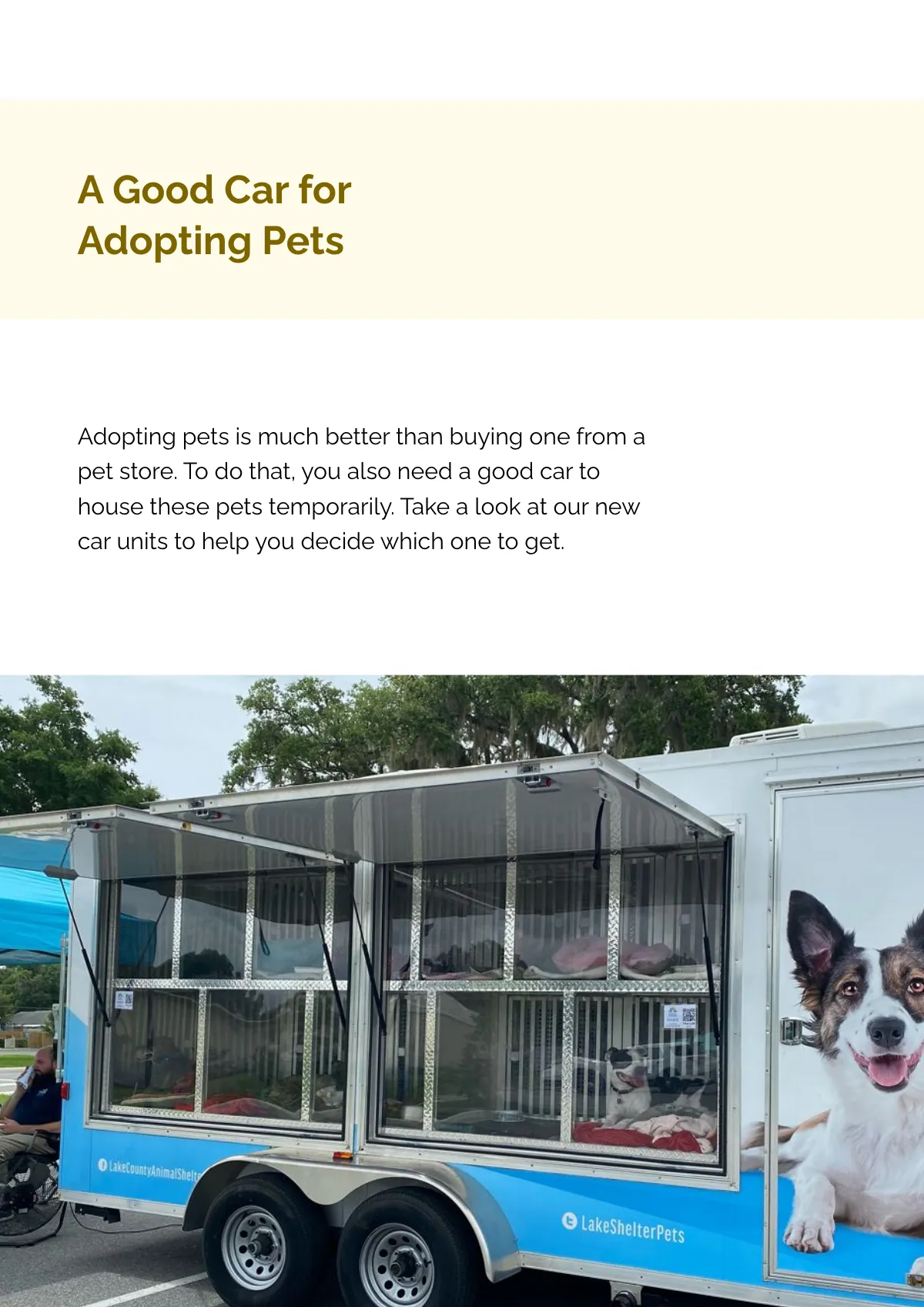 Free Adopt Pets Car Magnet Template to Edit Online