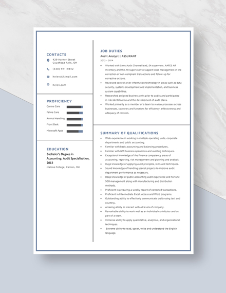 Audit Analyst Resume Template