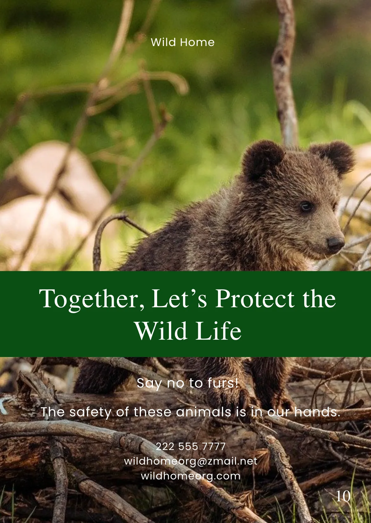 Free Project Booklet Template to Edit Online