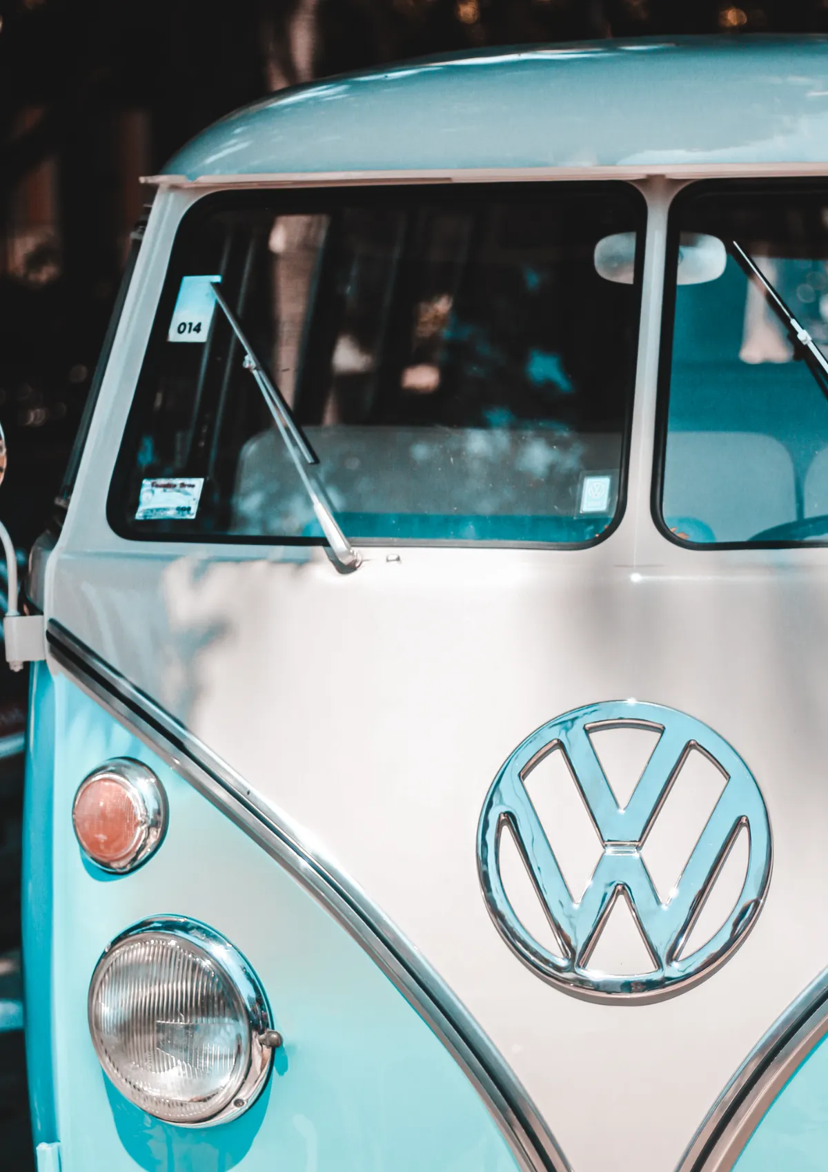 Free Grooming Car Magnet Template to Edit Online