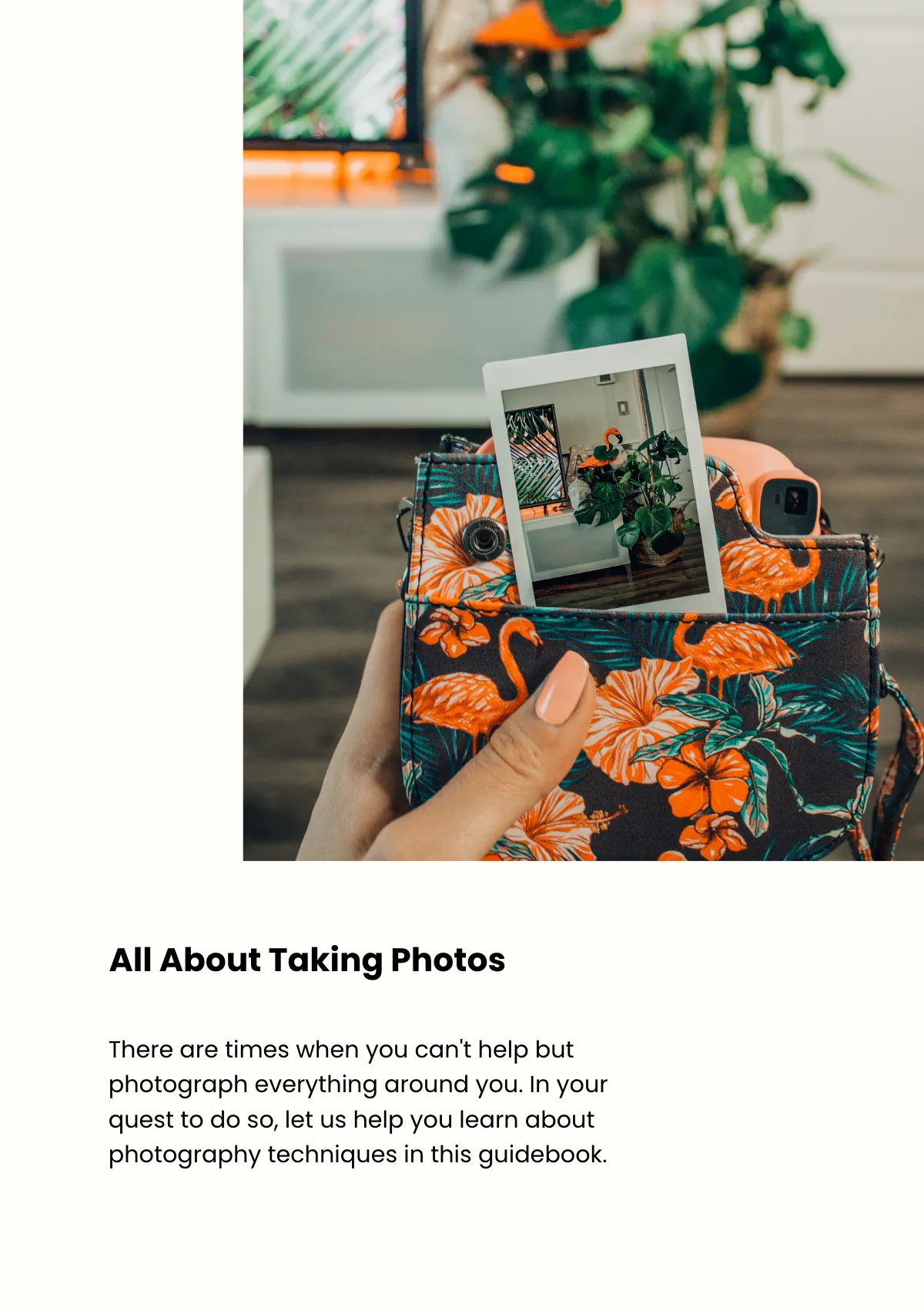 Free Professional Photo Magnet Template to Edit Online
