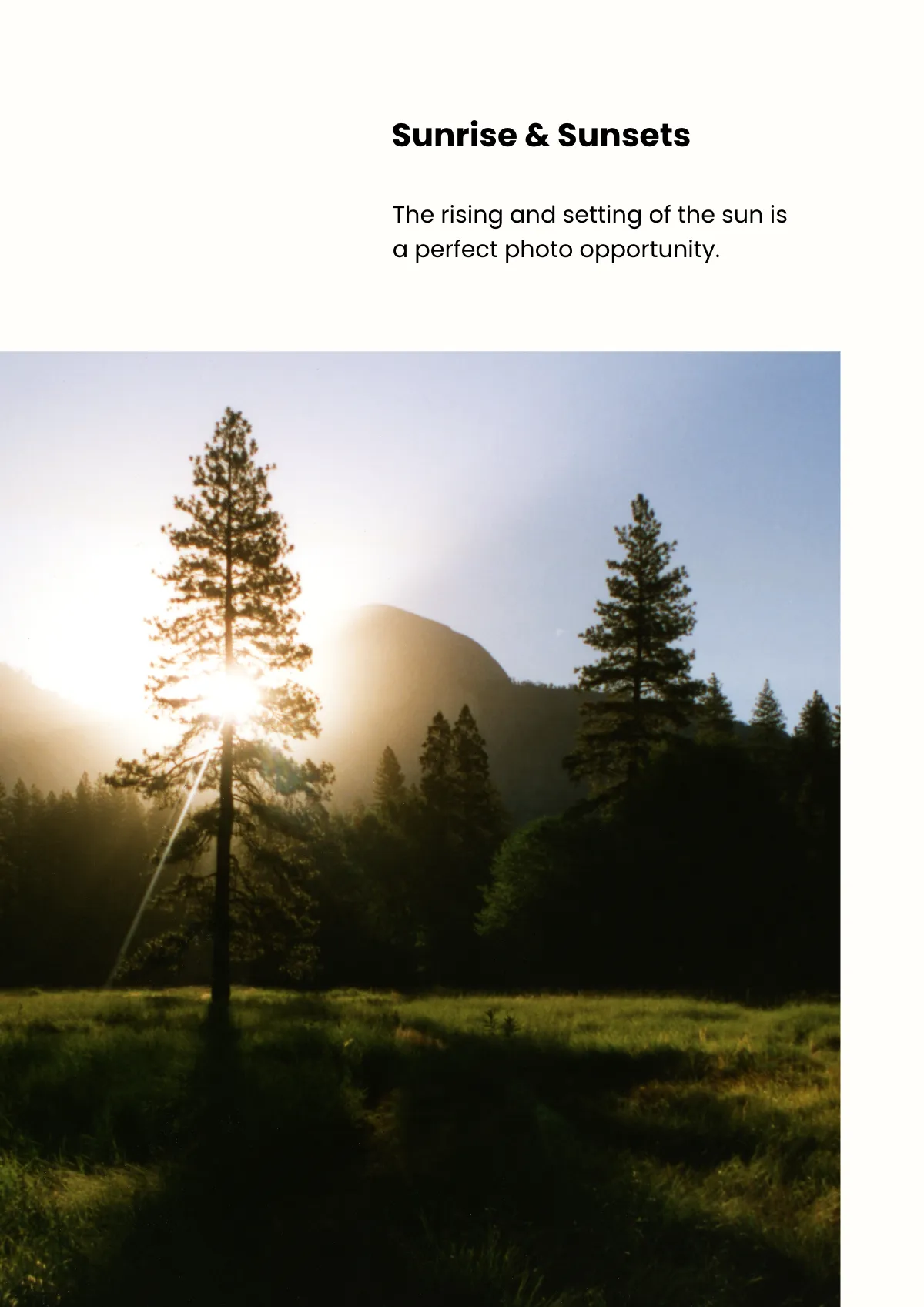 Free Professional Photo Magnet Template to Edit Online