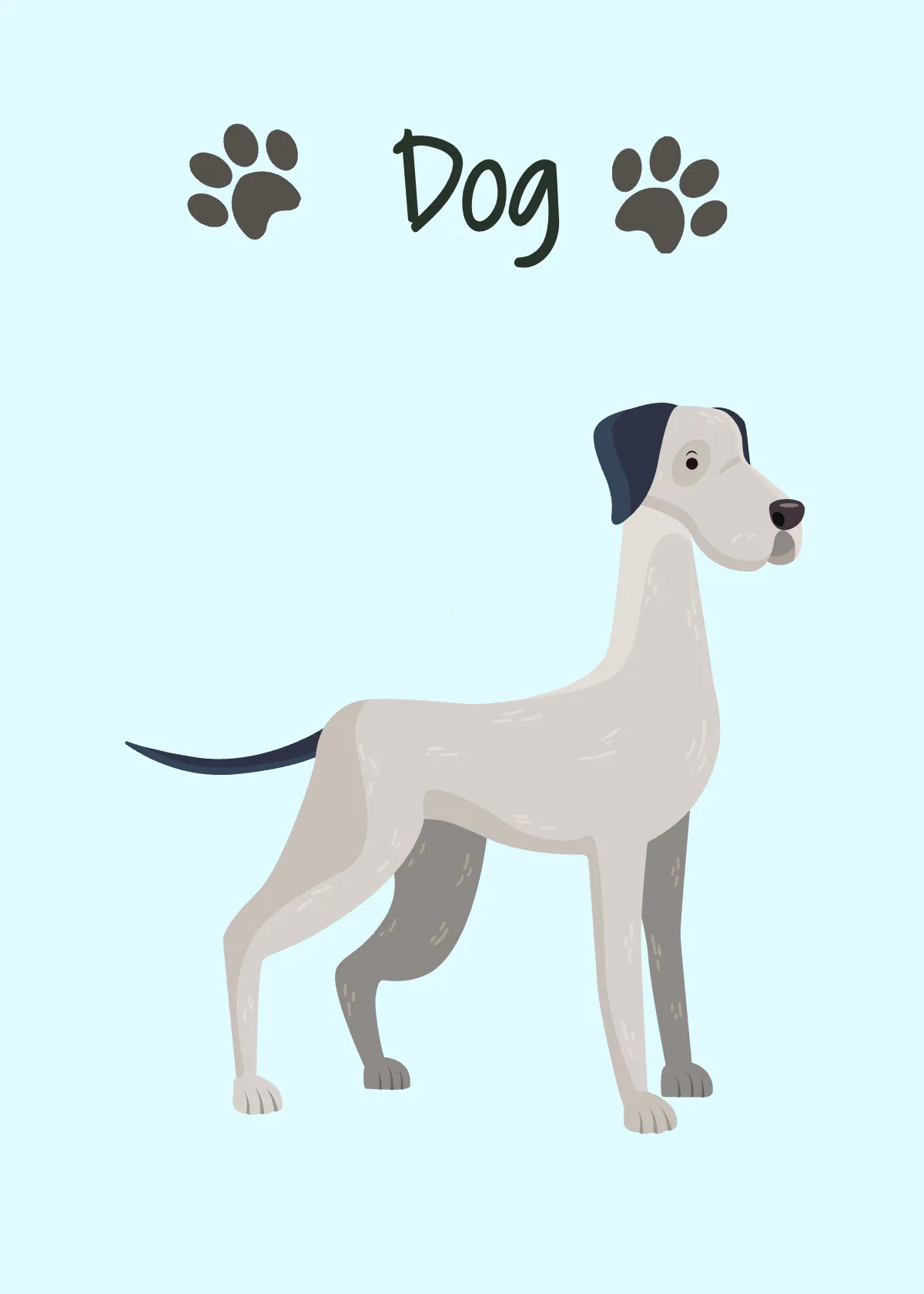 Free Animal Flashcards Template to Edit Online